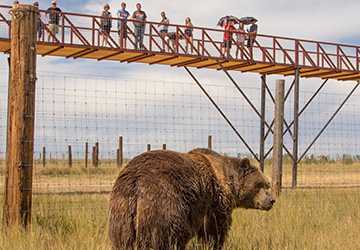 Exploring the 6 Top Zoos in Denver for Kids to Discover Wildlife